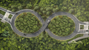 Thumbnail 6 of 100 Years Anniversary