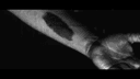 Thumbnail 1 of Beauty that protects