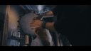 Thumbnail 3 of Hair the love