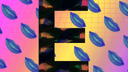 Thumbnail 11 of Launching