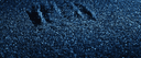 Thumbnail 15 of Manifesto