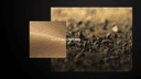 Thumbnail 9 of SeeCoat Next
