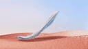 Thumbnail 4 of Sensibio