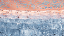 Thumbnail 10 of Sensibio