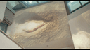 Thumbnail 13 of Manifeste